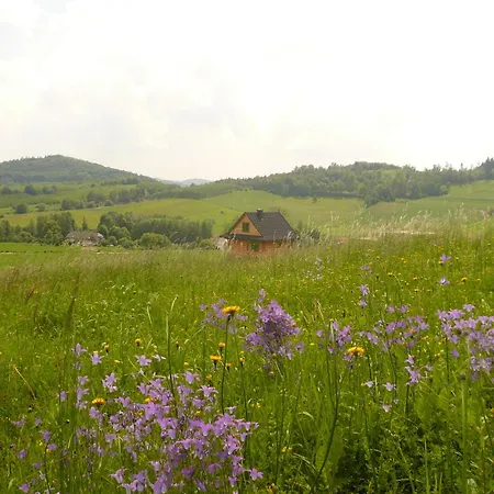 Z Bajki - Stylowy Z Bali Z Kominkiem Villa Marcinow