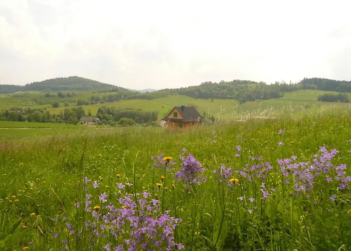 Z Bajki - Stylowy Z Bali Z Kominkiem Villa Marcinow