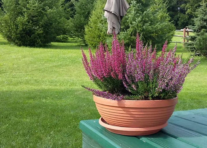 Z Bajki - Stylowy Z Bali Z Kominkiem * Marcinow